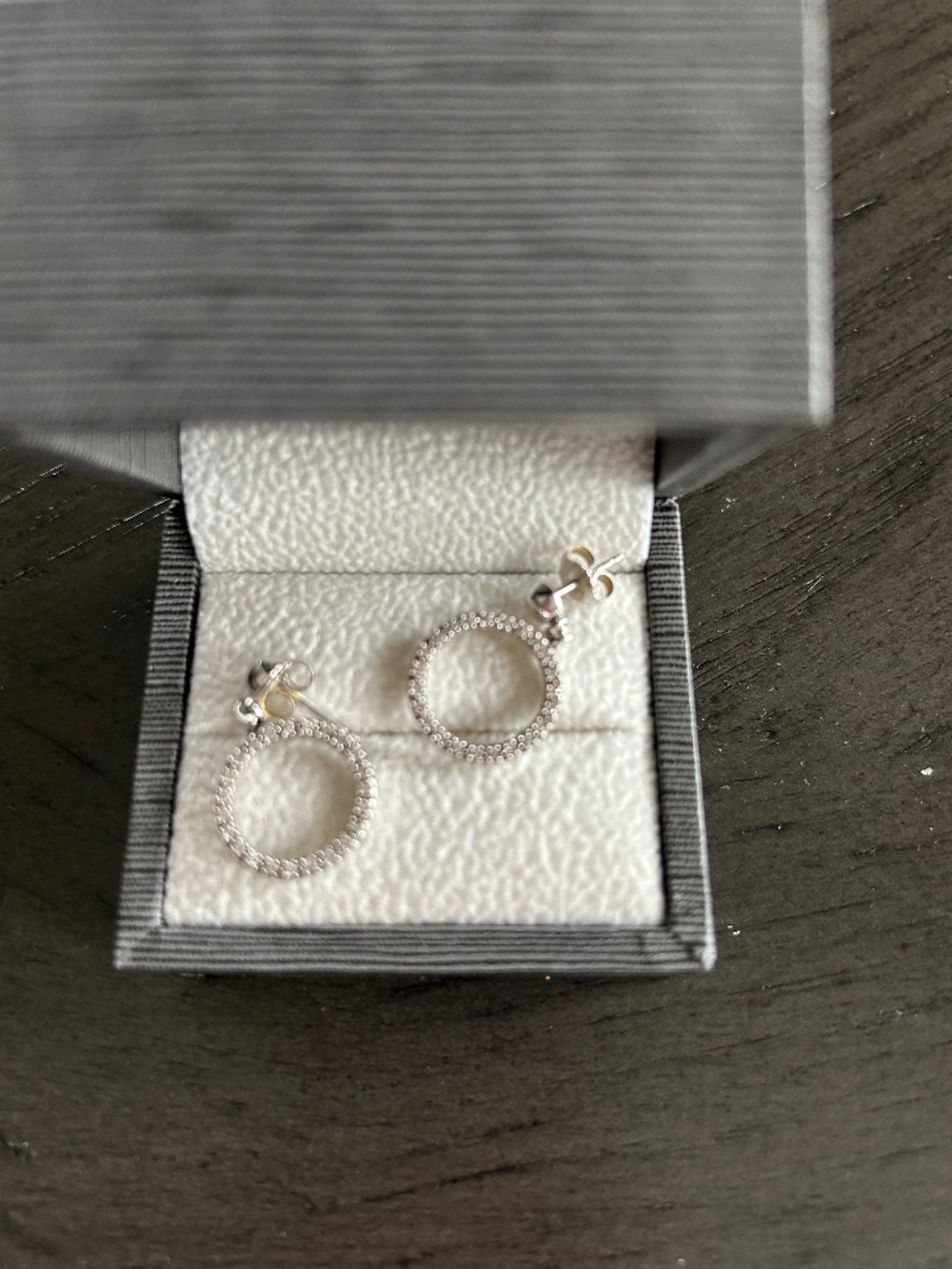 Circle of Life Earrings